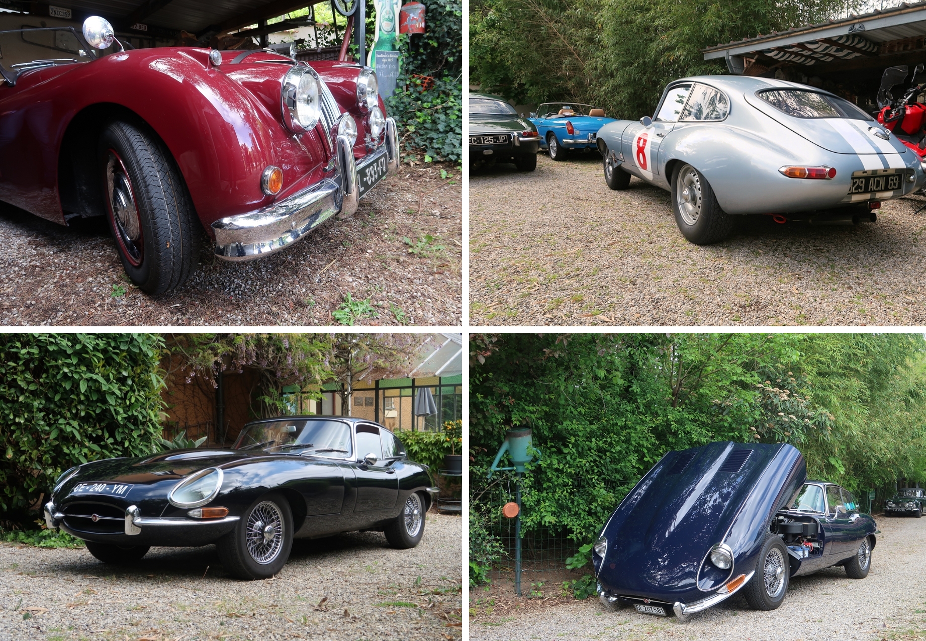 matinee technique ehb sezerin anlva 26 april 2025 img 6258b